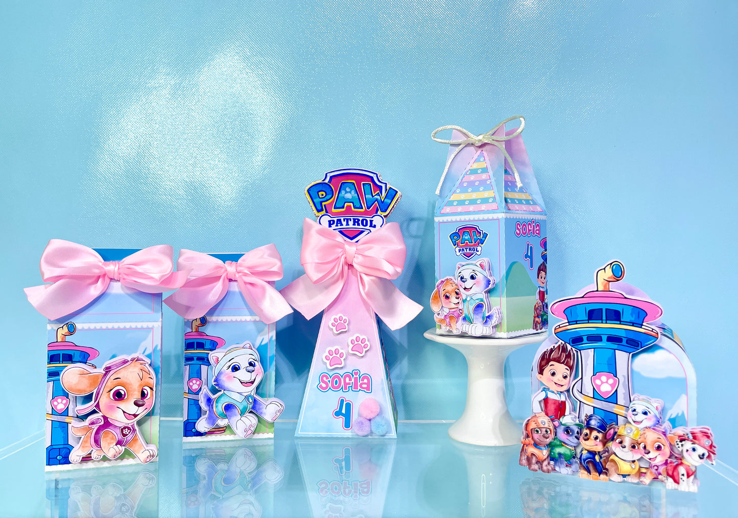 Paw Patrol Favor Boxes