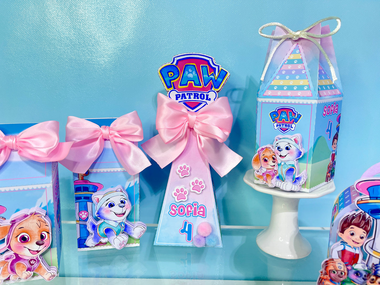 Paw Patrol Favor Boxes