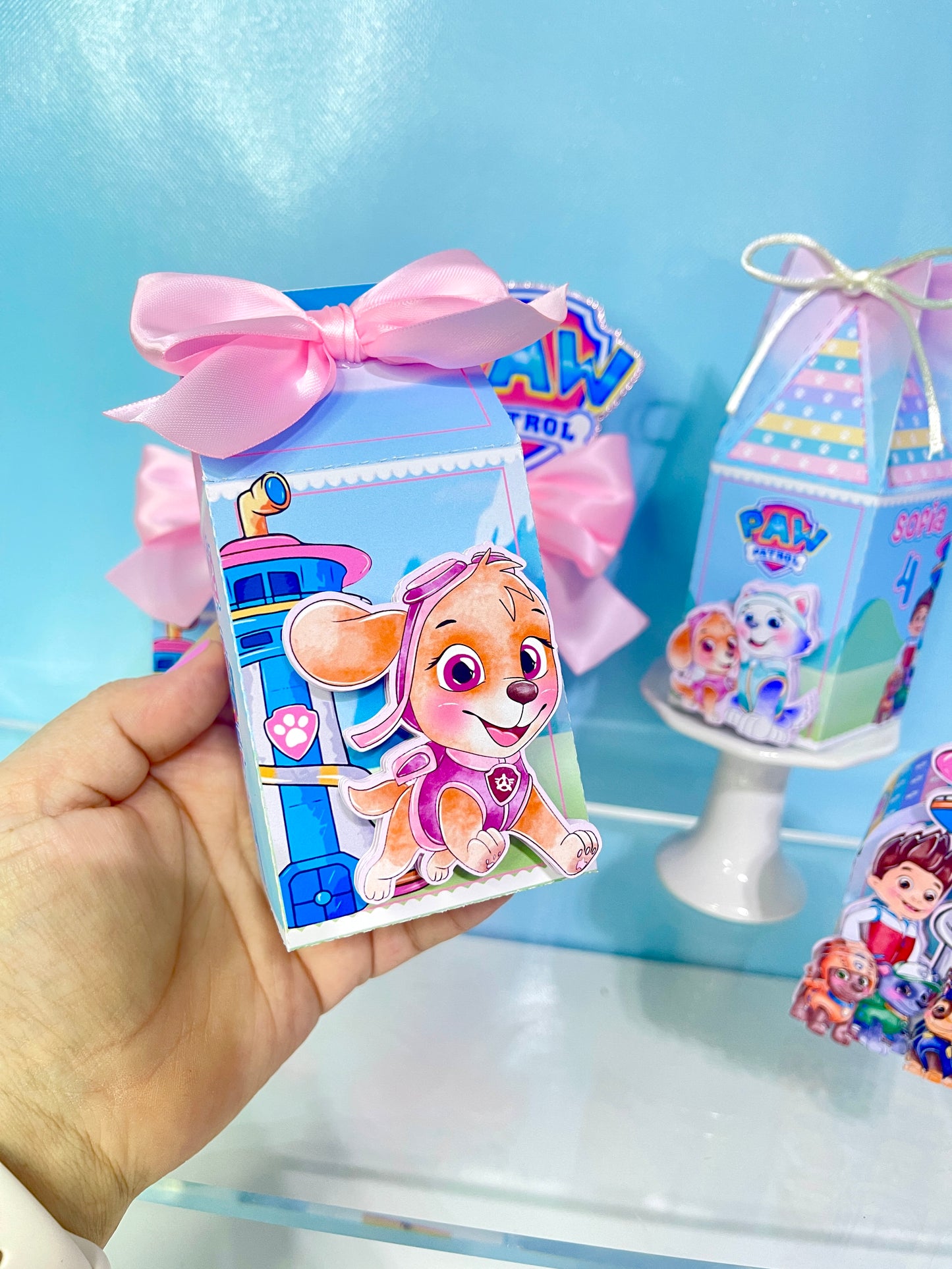 Paw Patrol Favor Boxes