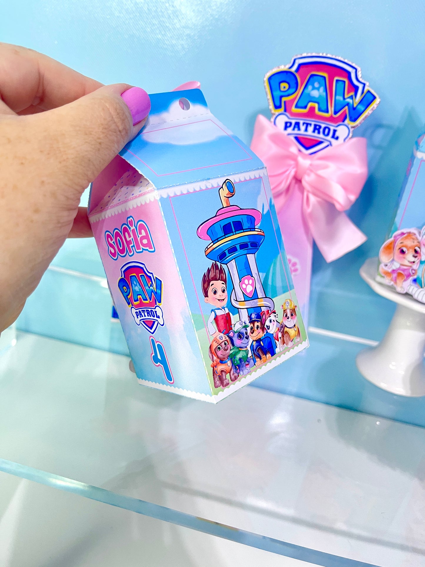 Paw Patrol Favor Boxes