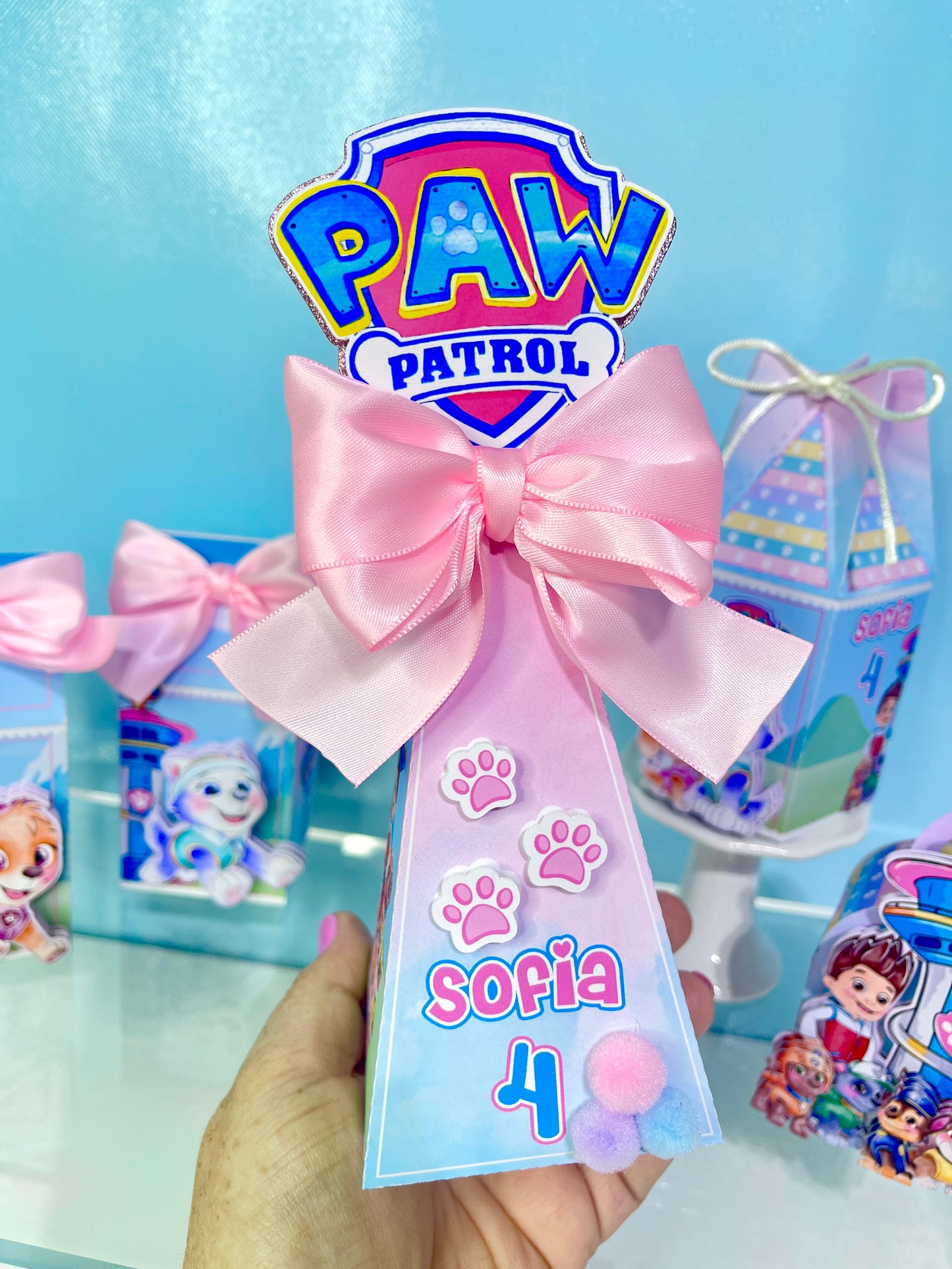 Paw Patrol Favor Boxes