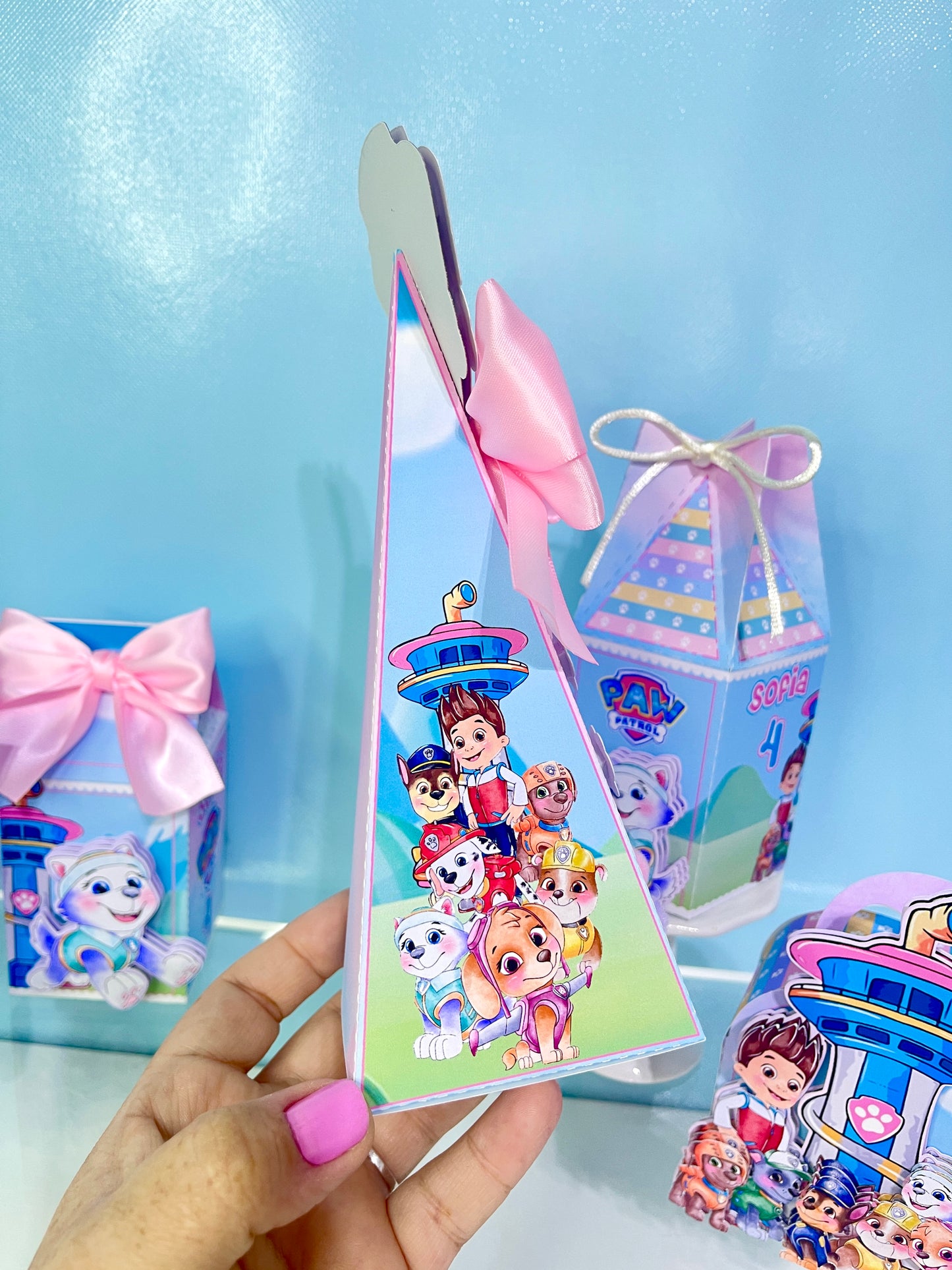 Paw Patrol Favor Boxes