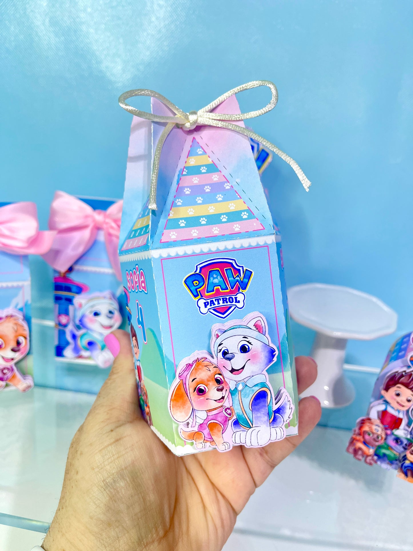 Paw Patrol Favor Boxes