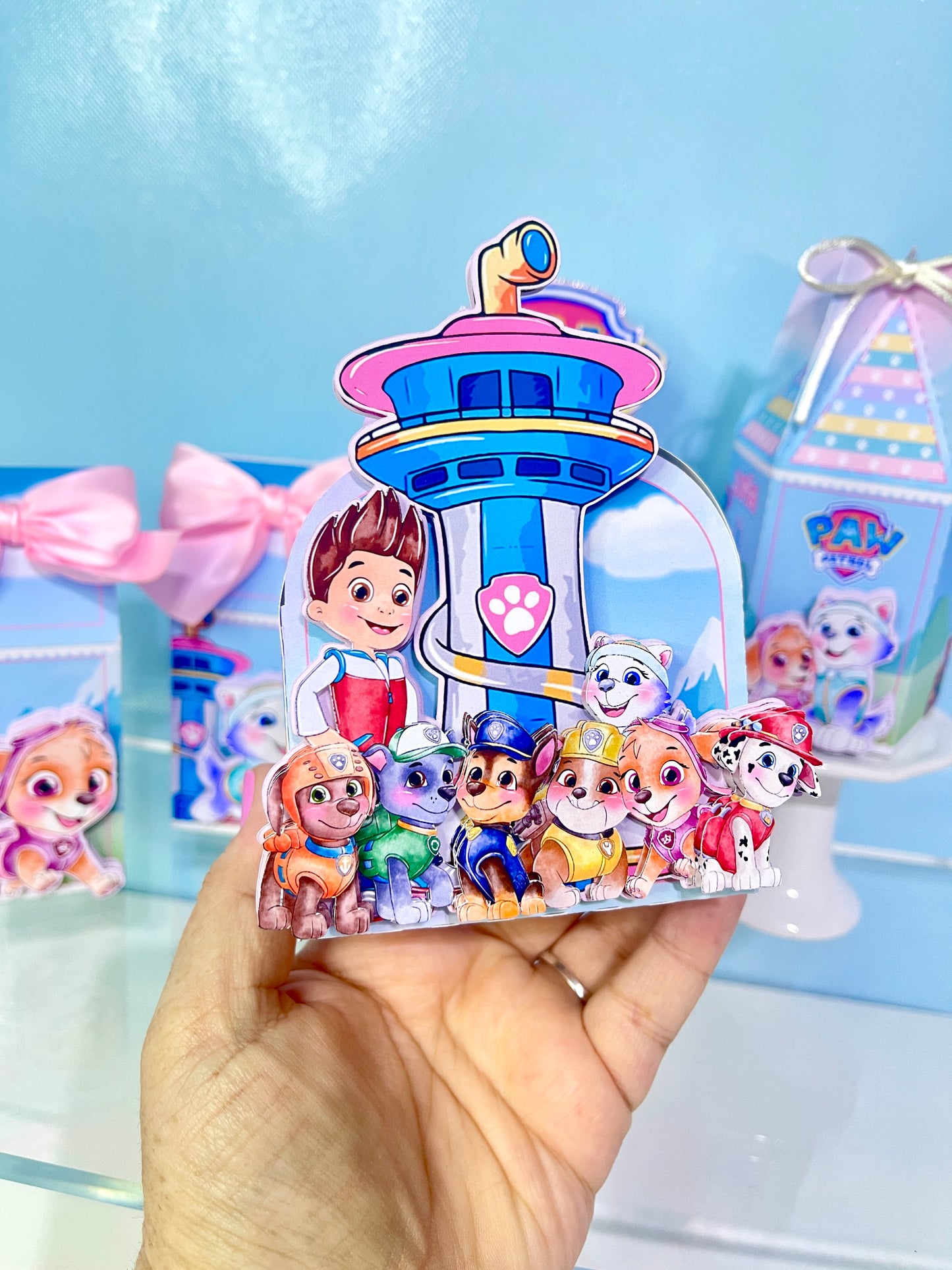 Paw Patrol Favor Boxes