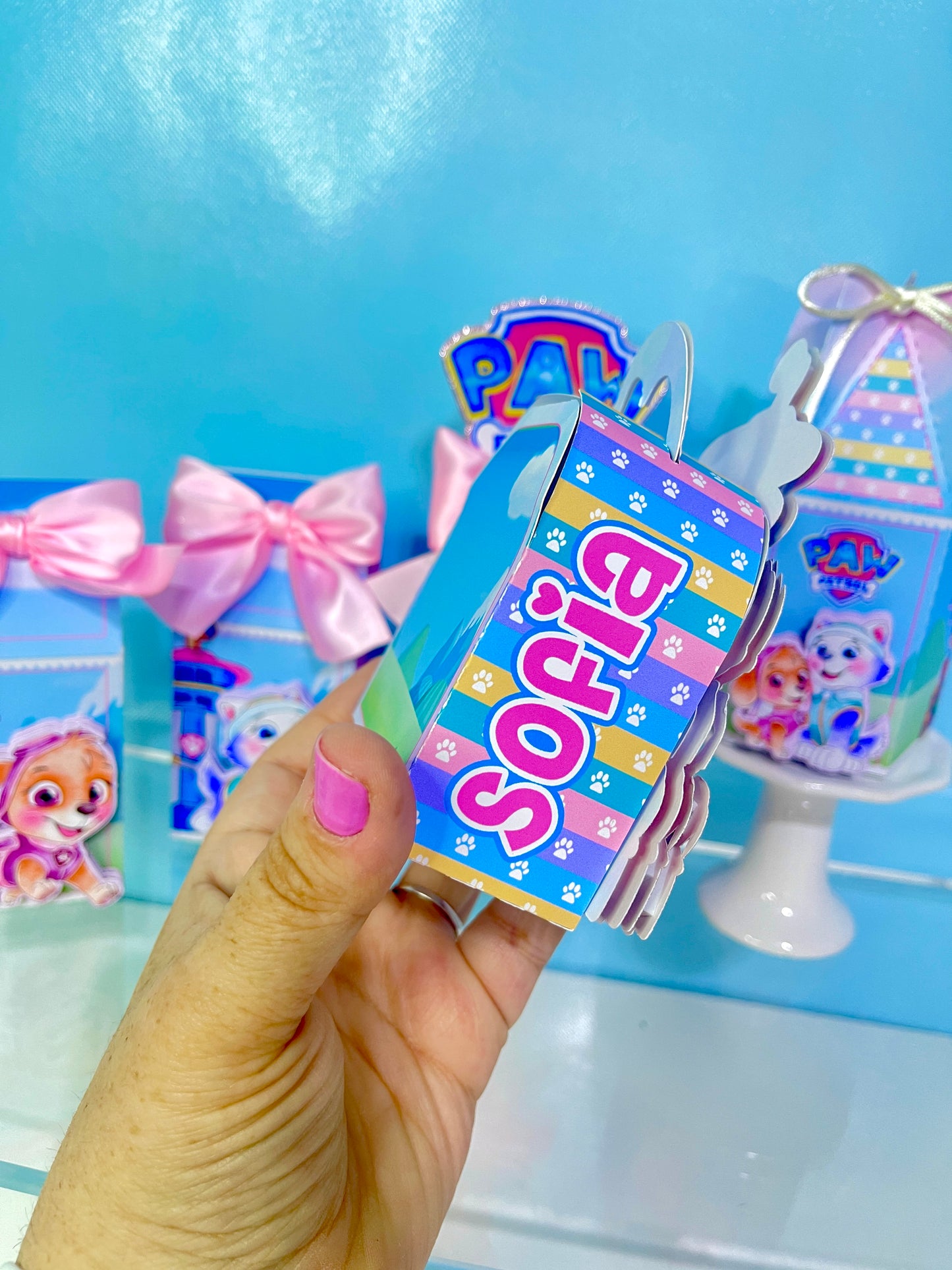 Paw Patrol Favor Boxes