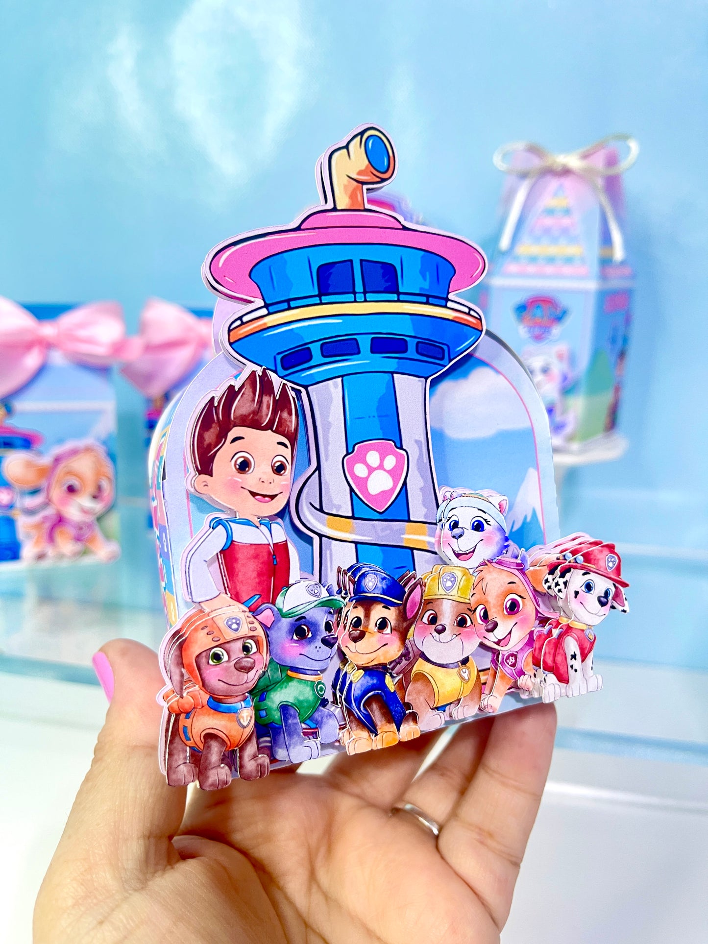 Paw Patrol Favor Boxes